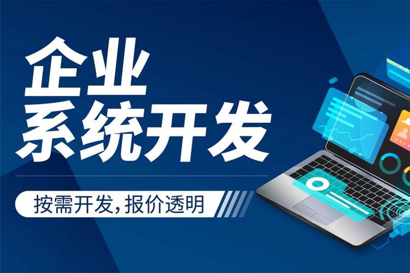探寻网络技术的创意火花：案例解析